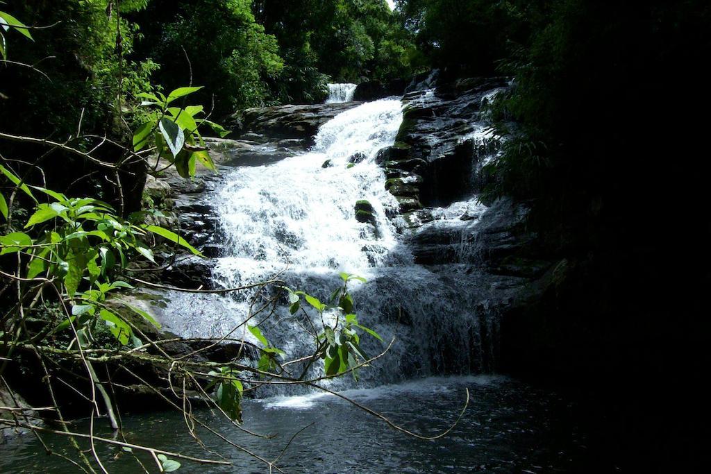 Terra Do Sempre - Reserva Ambiental Hotel Sao Francisco de Paula  Exterior photo